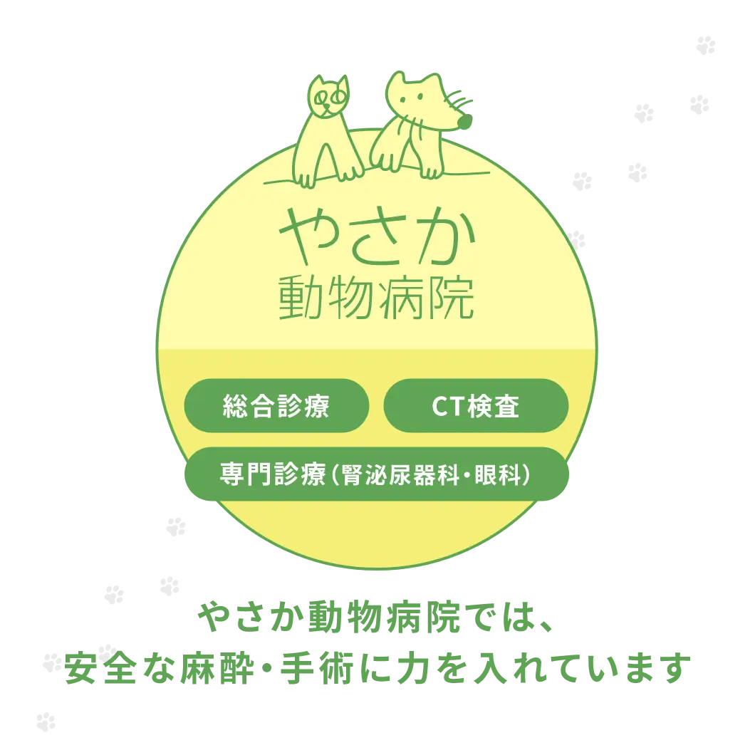 やさか動物病院では、安全な麻酔・手術に力を入れています。